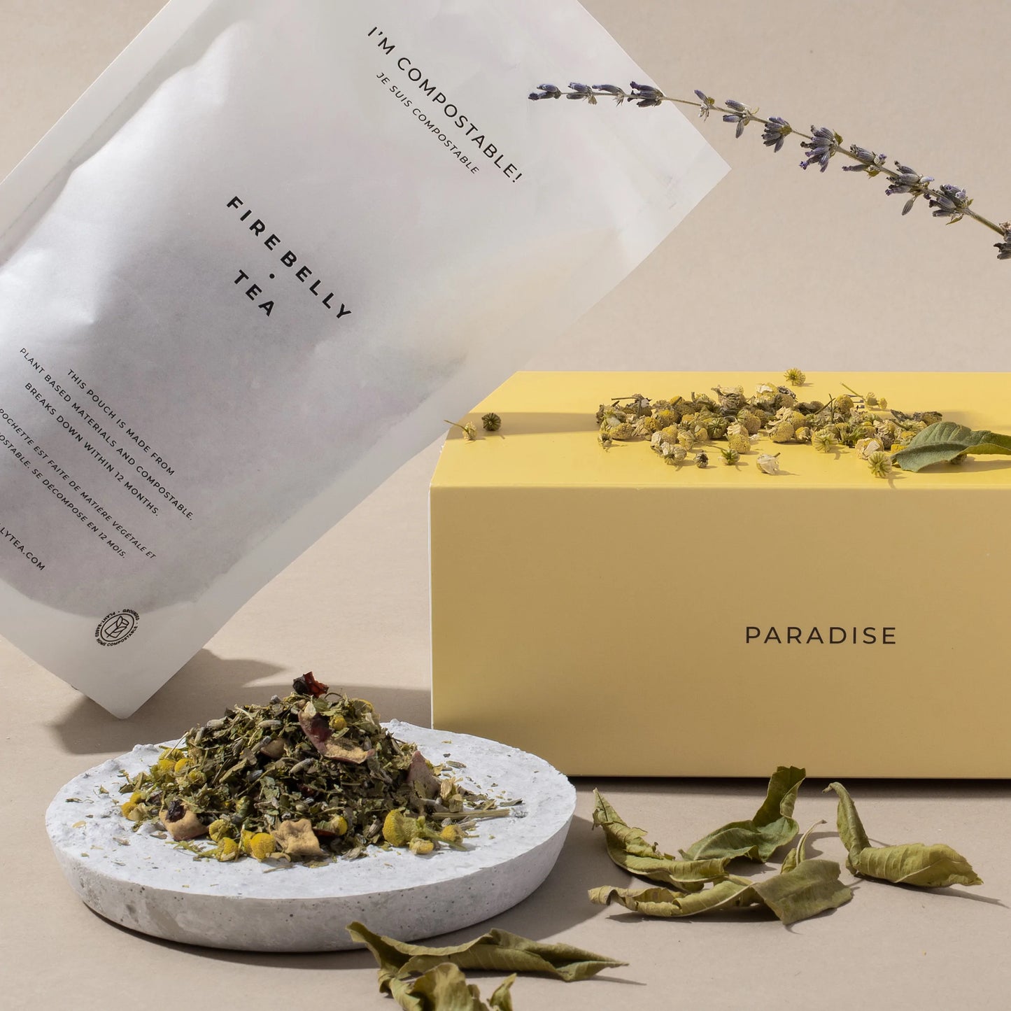 Te - Paradise